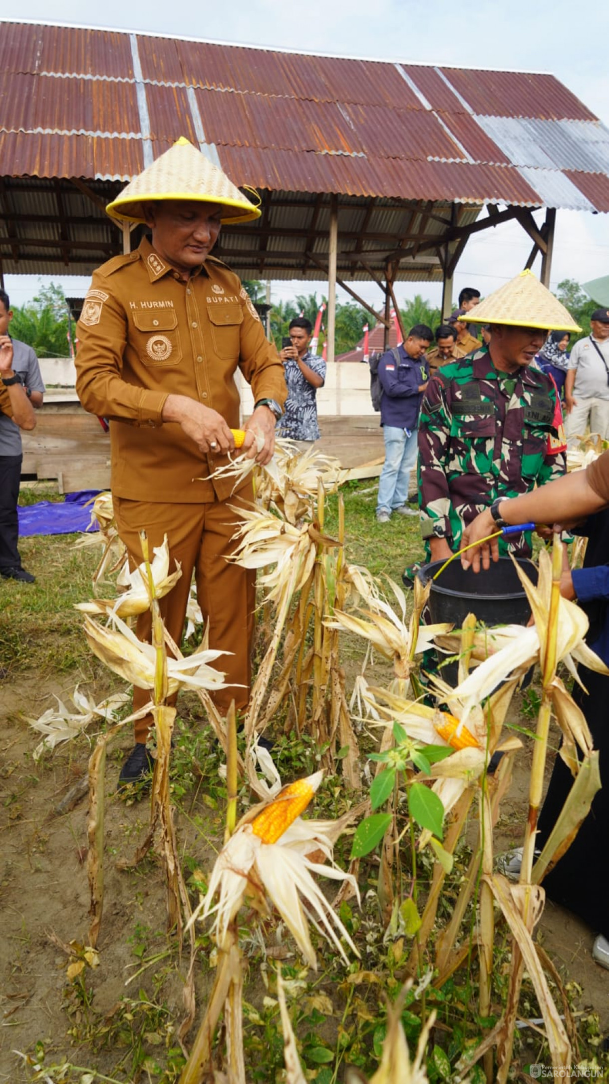 Acara Panen Raya Jagung dan Peresmian Jembatan Gantung Sepanjang 35 Meter di Desa Sungai Merah Kec. Pelawan