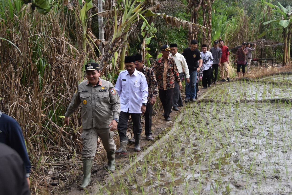 25 November 2023 - Meninjau Saluran Irigasi Yang Rusak Di Sawah Desa Sungai Bemban, Kecamatan Batang Asai