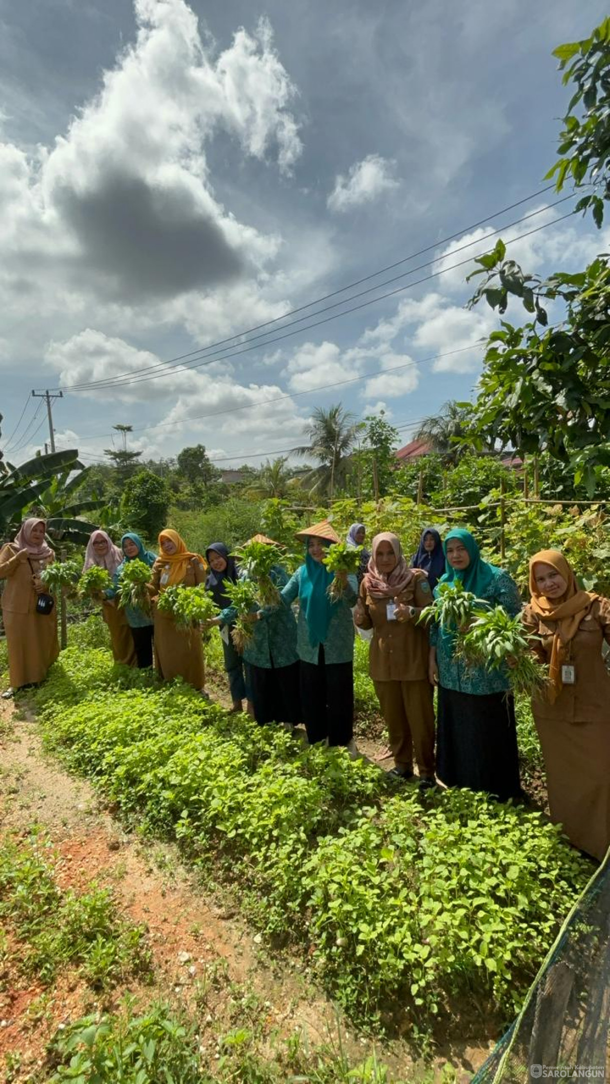 4 Maret 2024 - Ibu Sekretaris Daerah Selaku Wakil Ketua TP PKK  Bersama Pokja 3 Melaksanakan Kegiatan Himbauan Menanam Cabe Di Halaman Rumah Pada Masyarakat Kab. Sarolangun