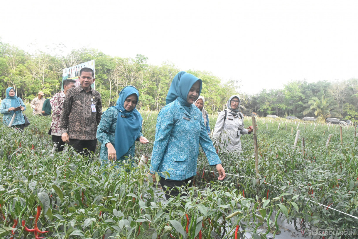 01 Agustus 2024 -&nbsp;Gerakan Tanam Cepat Panen Cabe Merah Kelompok Tani Bina Jaya, Bertempat di Desa Payolebar&nbsp; Kecamatan Singkut