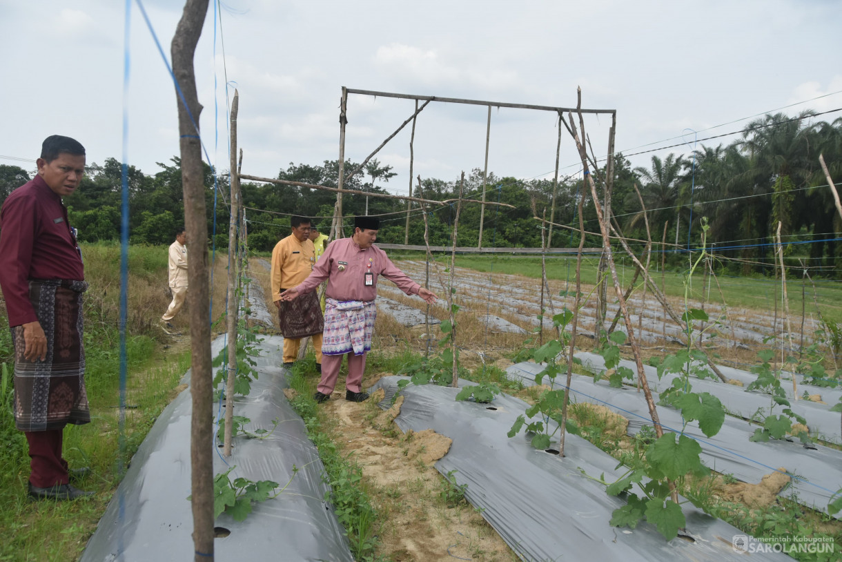 3 Juli 2024 -&nbsp;Meninjau Laboratorium Inflasi, Bertempat di Kecamatan Pelawan