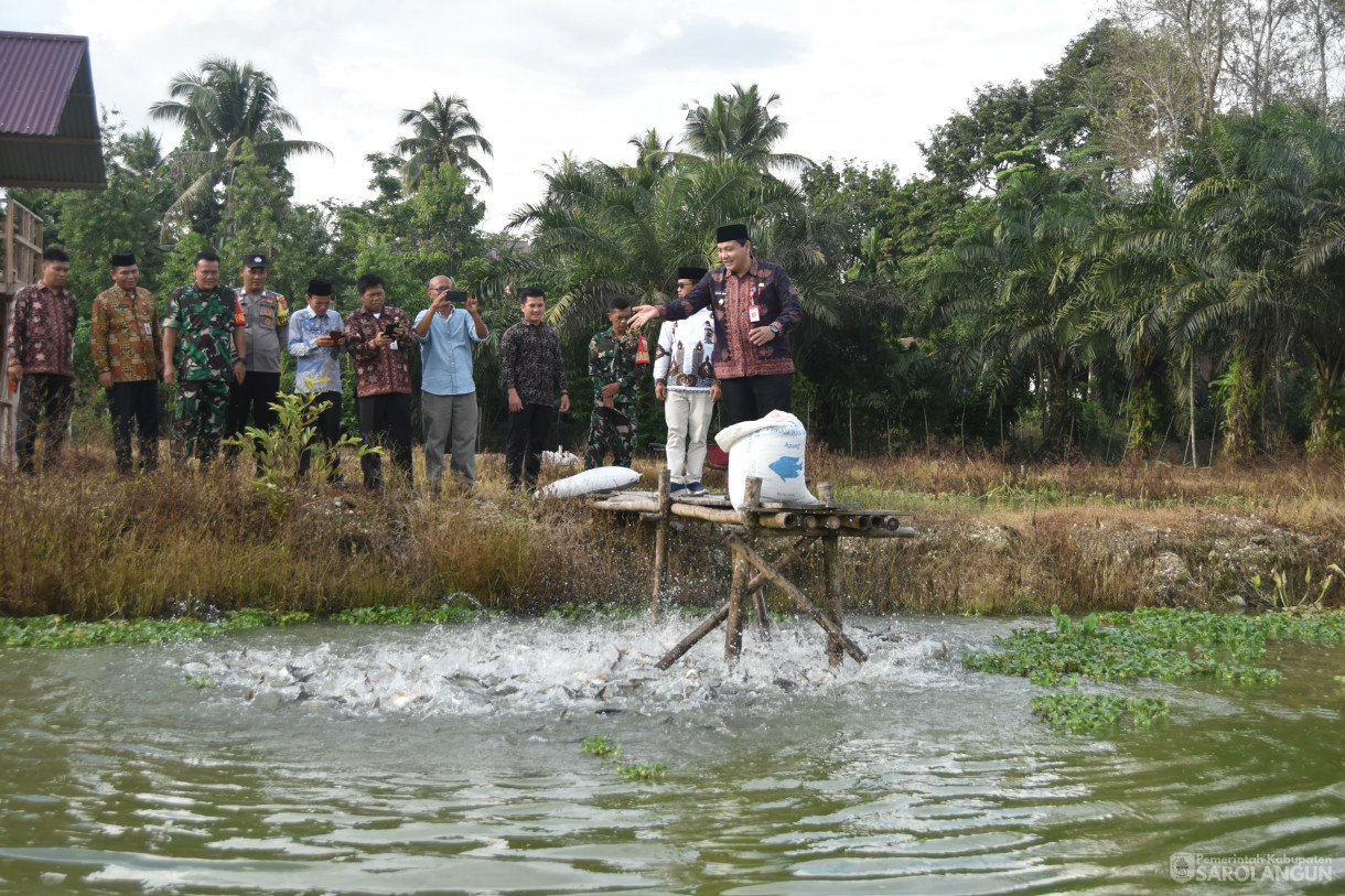 11 Januari 2024 - Monitoring Ternak Kambing Dan Ikan Di Desa Pasar Singkut Kecamatan Singkut