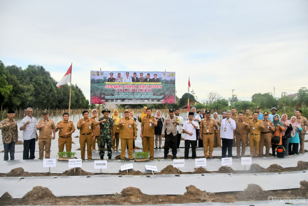 9 Juli 2024 -&nbsp;Gerakan Tanam Cabe Merah Kelompok Tani Sako Mandiri, Bertempat di Kelurahan Aurgading Kecamatan Sarolangun