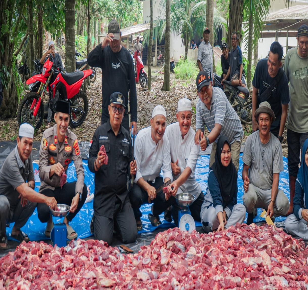 27 Mei 2026 Bupati Sarolangun Menghadiri Sekaligus Menyaksikan Secara Langsung Proses Pemotongan Hewan Kurban 46 Ekor Sapi, 2 Ekor Kambing di Desa Rantau Gedang Kecamatan Bathin VIII