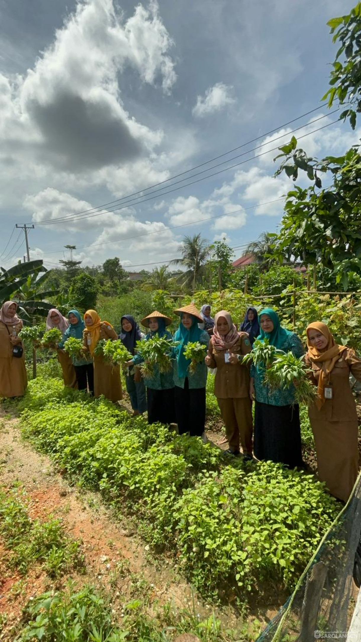 4 Maret 2024 - Ibu Sekretaris Daerah Selaku Wakil Ketua TP PKK  Bersama Pokja 3 Melaksanakan Kegiatan Himbauan Menanam Cabe Di Halaman Rumah Pada Masyarakat Kab. Sarolangun