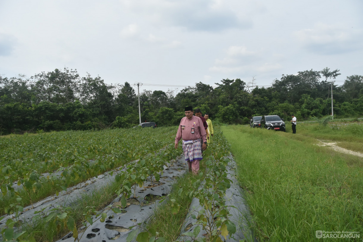 3 Juli 2024 -&nbsp;Meninjau Laboratorium Inflasi, Bertempat di Kecamatan Pelawan