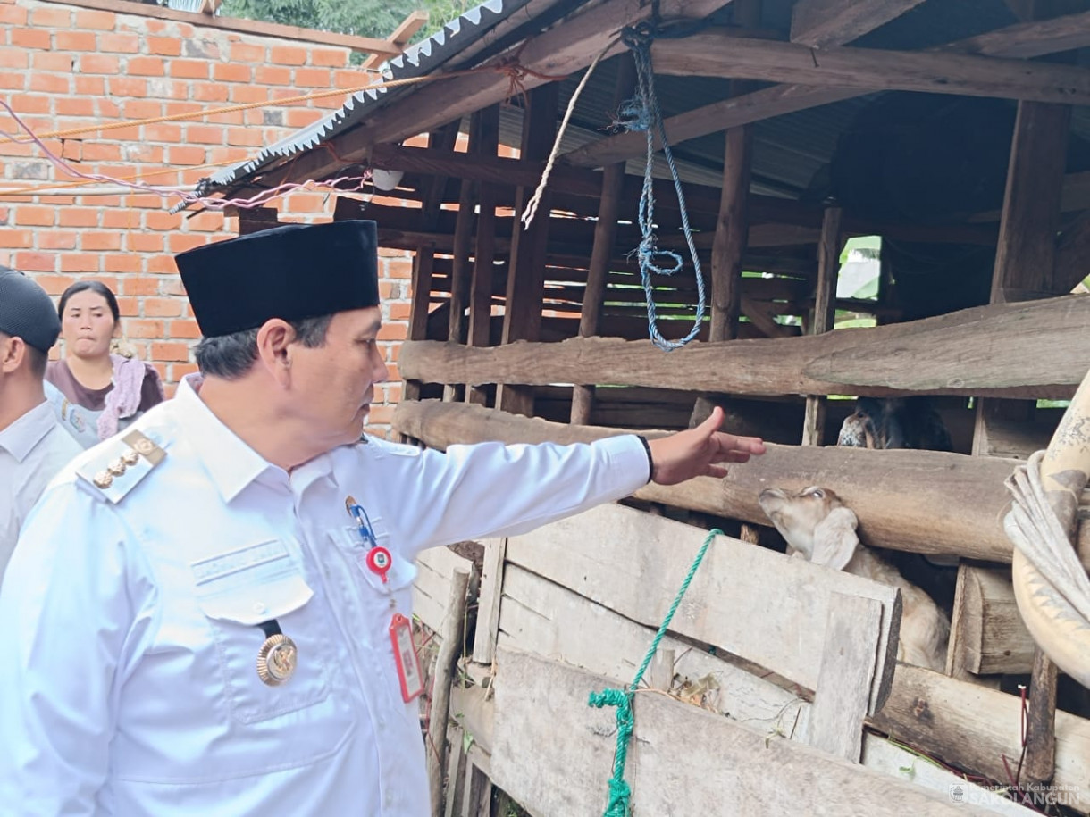 24 Januari 2024 - Monitoring Ternak Kambing Di Desa Pelawan Jaya Kecamatan Pelawan