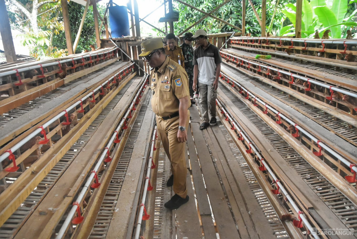 21 Januari 2025 -&nbsp;Panen Telur Ayam Petelur di Desa Batu Putih Kecamatan Pelawan