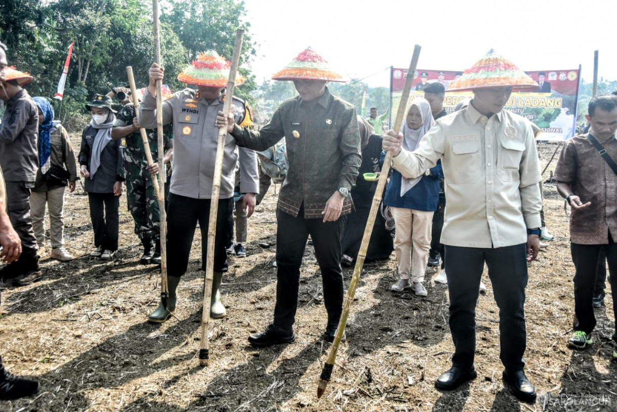 28 Agustus 2025&nbsp; &nbsp;Panen Perdana Padi Ladang Kelompok Tani Renah Mutu Desa Tanjung Kecamatan Bathin VIII