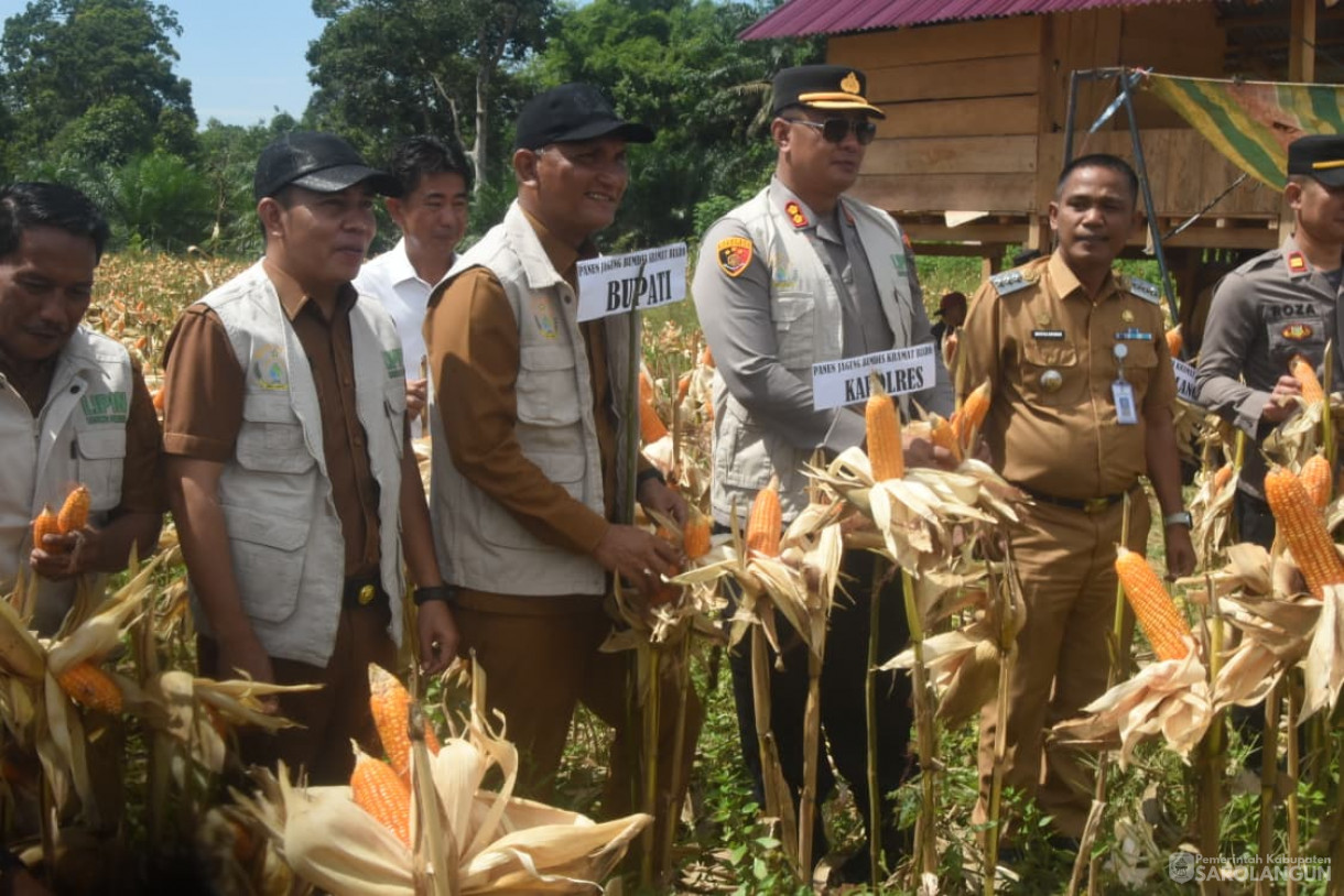 27 Oktober 2025&nbsp; Panen Jagung Ketahanan Pangan di Desa Lidung