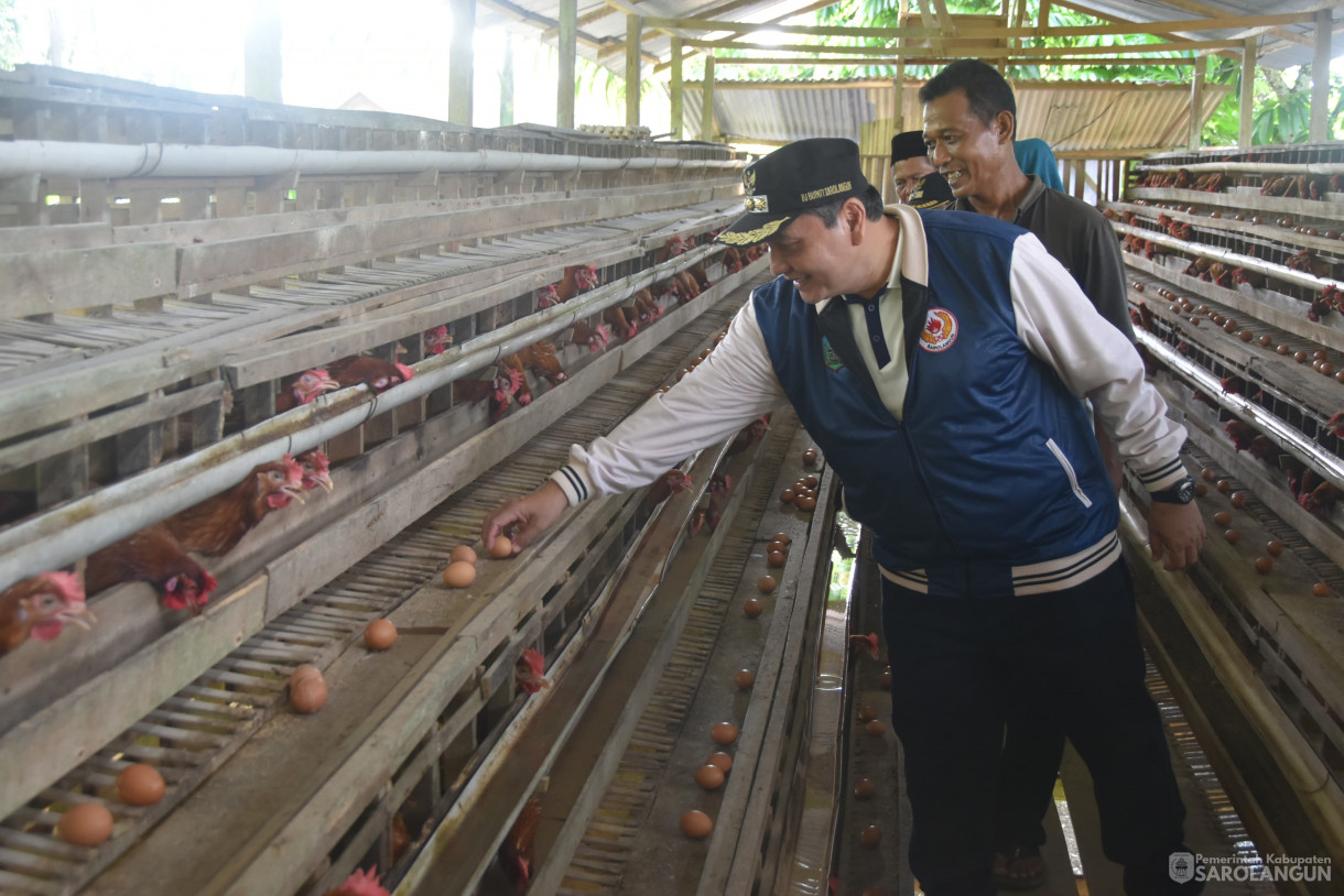 27 April 2024 - Panen Perdana Di Lokasi Peternakan Ayam Petelur Desa Batu Putih