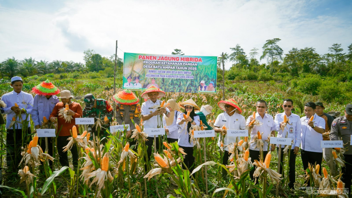 3 September 2025&nbsp; Panen Jagung Hibrida Program Ketahanan Pangan Bumdes Batam Jaya Desa Batu Ampar Tahun 2025