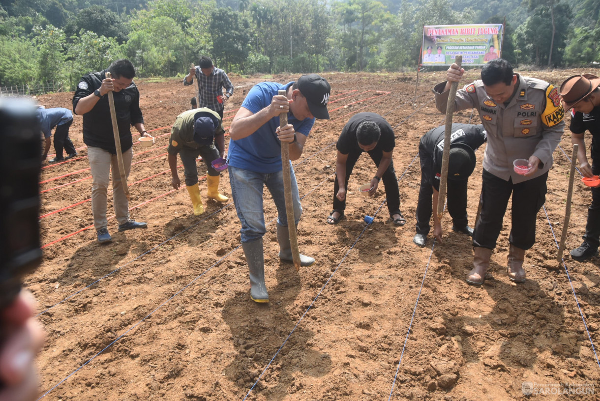 9 Agustus 2025 - Penanaman Bibit Jagung Dalam Rangka Program Ketahanan Pangan di Desa Bathin Pengambang Kecamatan Batang Asai