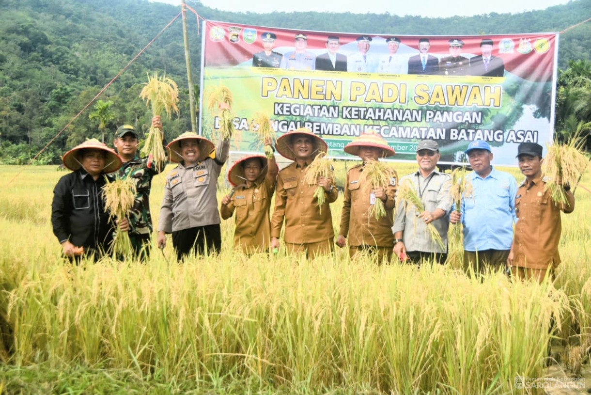1 September 2025&nbsp; Panen Padi Sawah Kelompok Tani Sumber Harapan Desa Sungai Bemban Kecamatan Batang Asai
