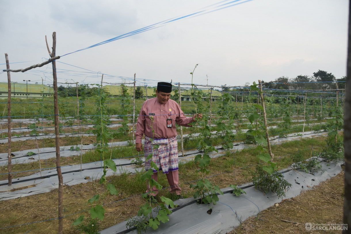 03 Juli 2024 -&nbsp;Meninjau Tanaman, Bertempat di Lahan Kompi Senapan A Yonif 142 KJ