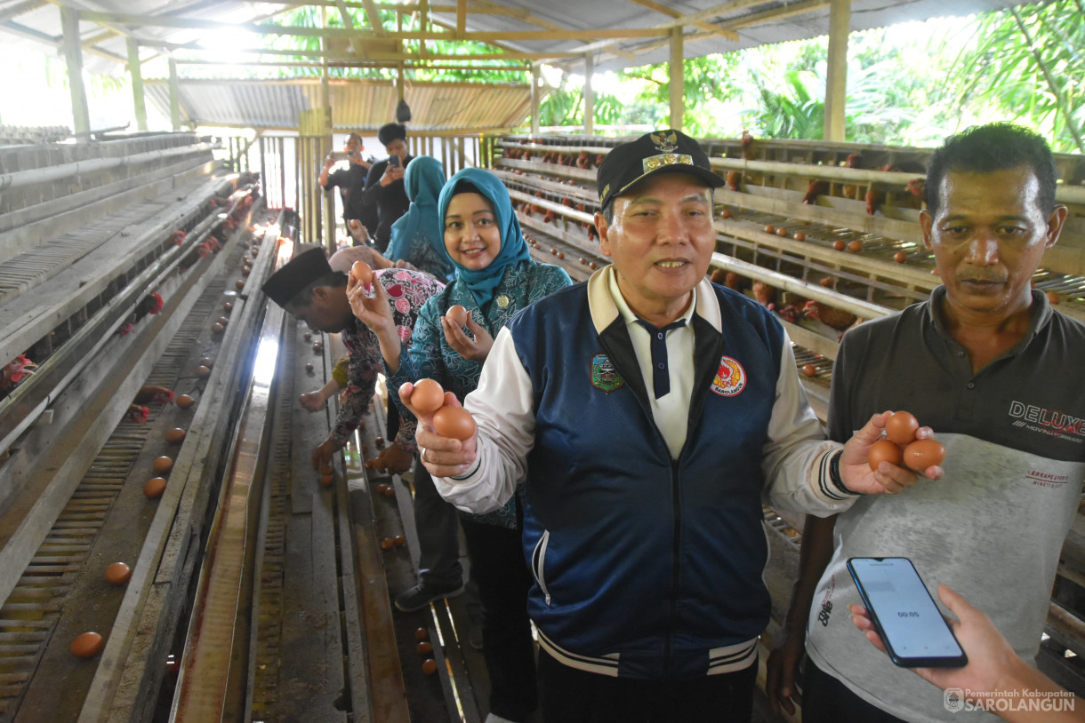 27 April 2024 - Panen Perdana Di Lokasi Peternakan Ayam Petelur Desa Batu Putih