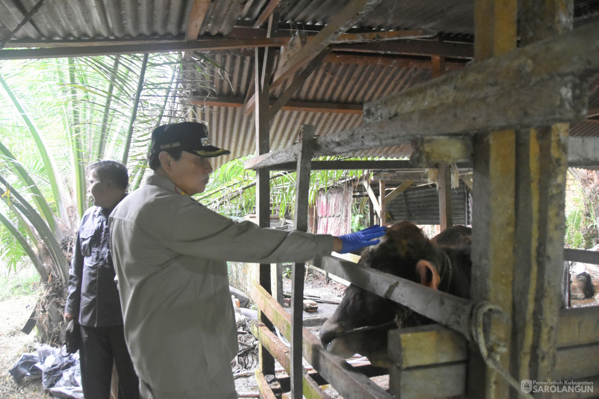 15 Juni 2024 - Monitoring Tempat Pemotongan Hewan Kurban Di Kelurahan Aurgading Kecamatan Sarolangun Dan Desa Siliwangi Kecamatan Singkut