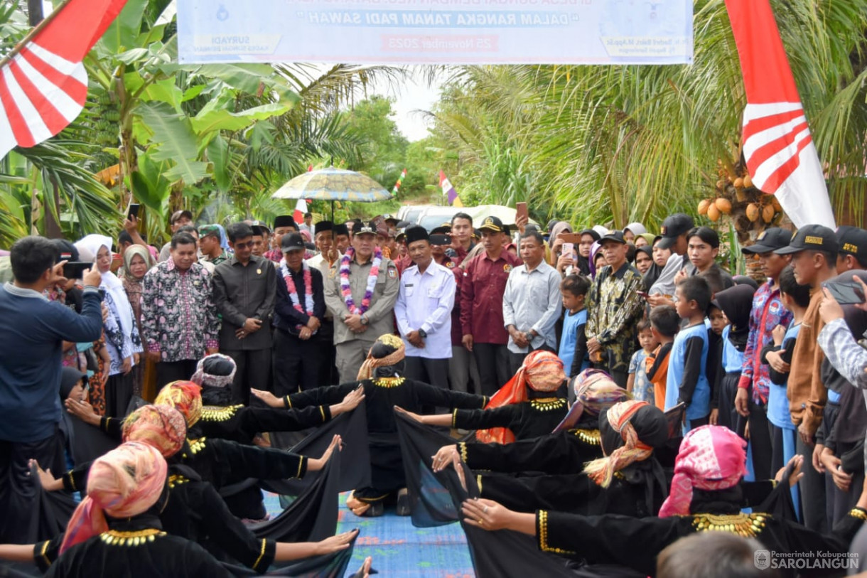 25 November 2023 - Tanam Padi Sawah Di Kelompok Tani Suka Damai Bersama Forkopimda Sarolangun Di Desa Sungai Bemban Kec. Batang Asai