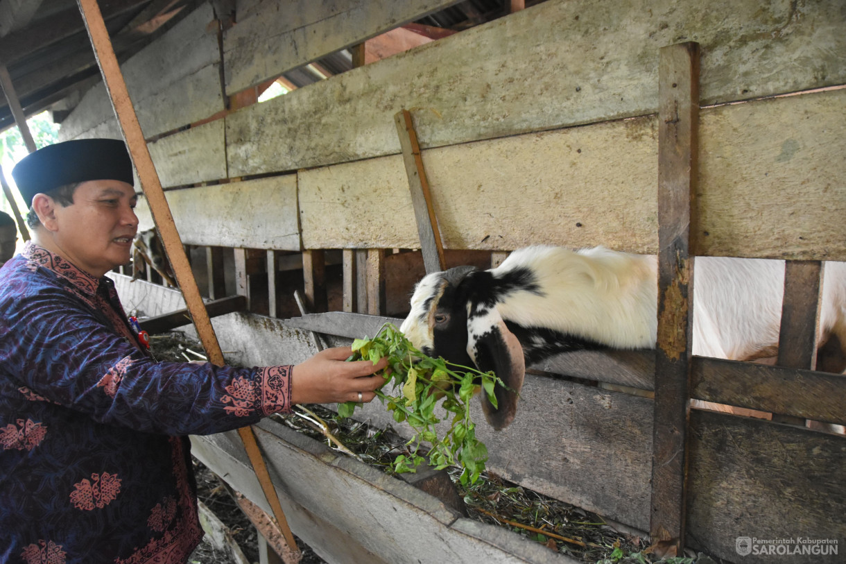 11 Januari 2024 - Monitoring Ternak Kambing Dan Ikan Di Desa Pasar Singkut Kecamatan Singkut