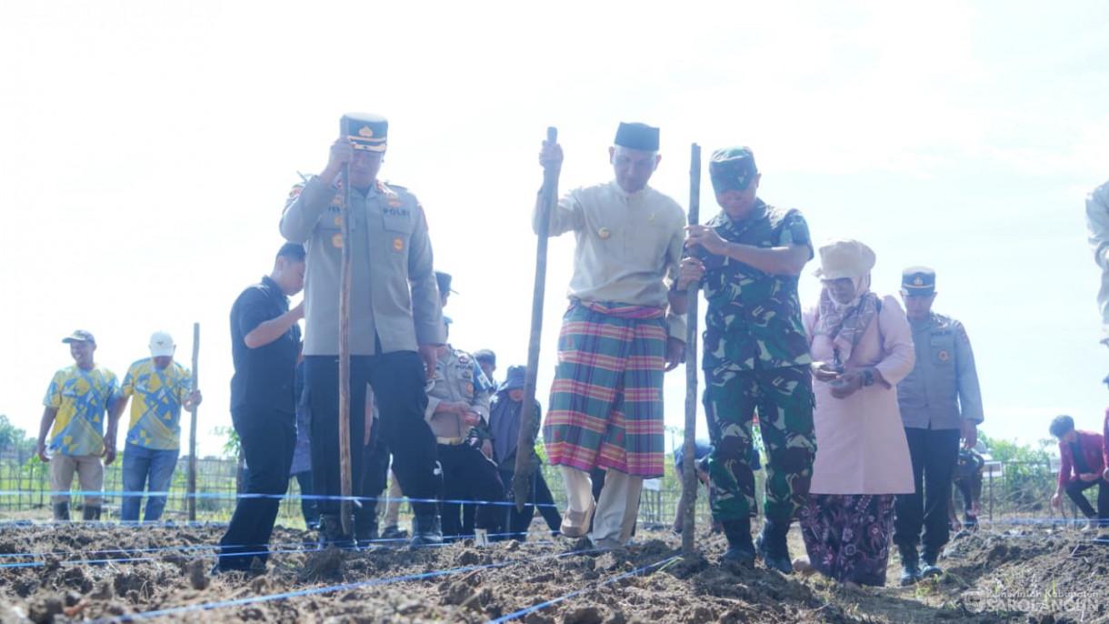 8 Oktober 2025 Bupati Sarolangun bersama Forkopimda Sarolangun Lakukan Penanaman Jagung Serentak Kuartal IV