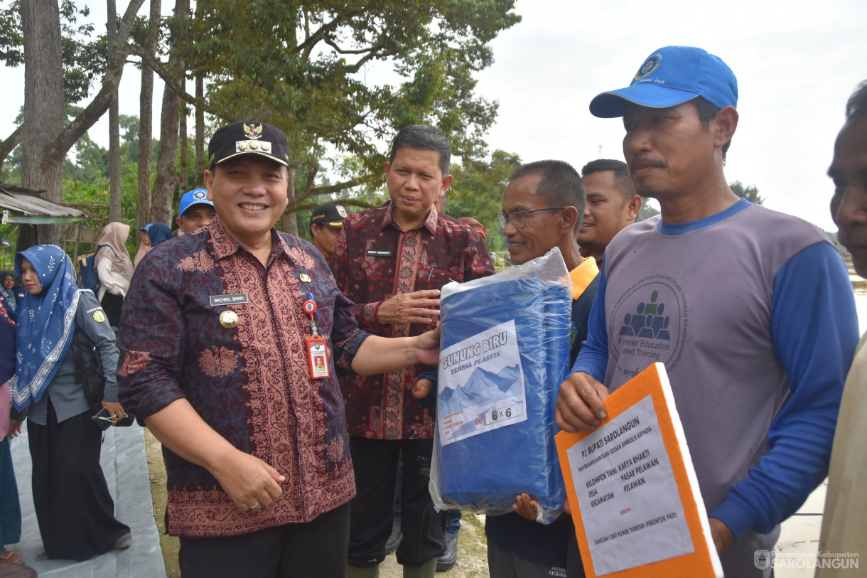 1 Februari 2024 - Tanam Bibit Unggul Padi Sawah Dari IPB Di Desa Pasar Pelawan