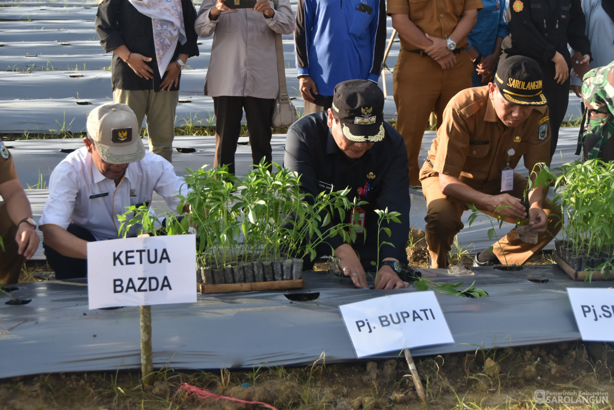 4 Juni 2024 - Gerakan Tanam Cepat Panen Tanam Cabe Merah Di Kelompok Jaya Makmur Desa Bukit Murau Kecamatan Singkut Dan Meninjau Smart Green House Dan Penanaman Bibit M