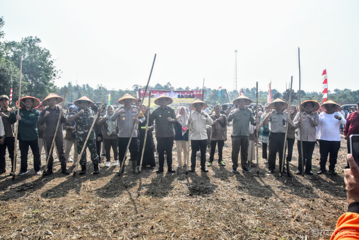 28 Agustus 2025&nbsp; &nbsp;Panen Perdana Padi Ladang Kelompok Tani Renah Mutu Desa Tanjung Kecamatan Bathin VIII