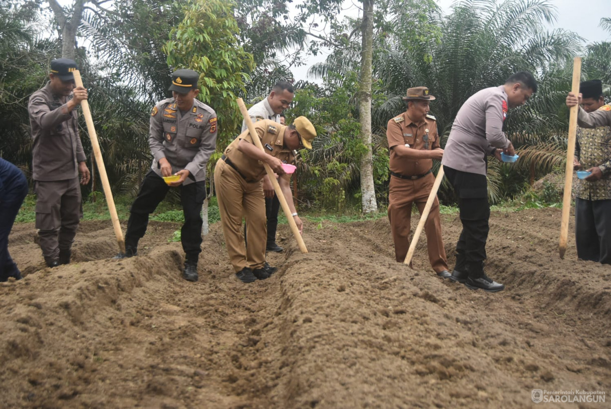 21 Januari 2025 -&nbsp;Penanaman Jagung Serentak di Desa Pelawan Jaya Kecamatan Pelawan