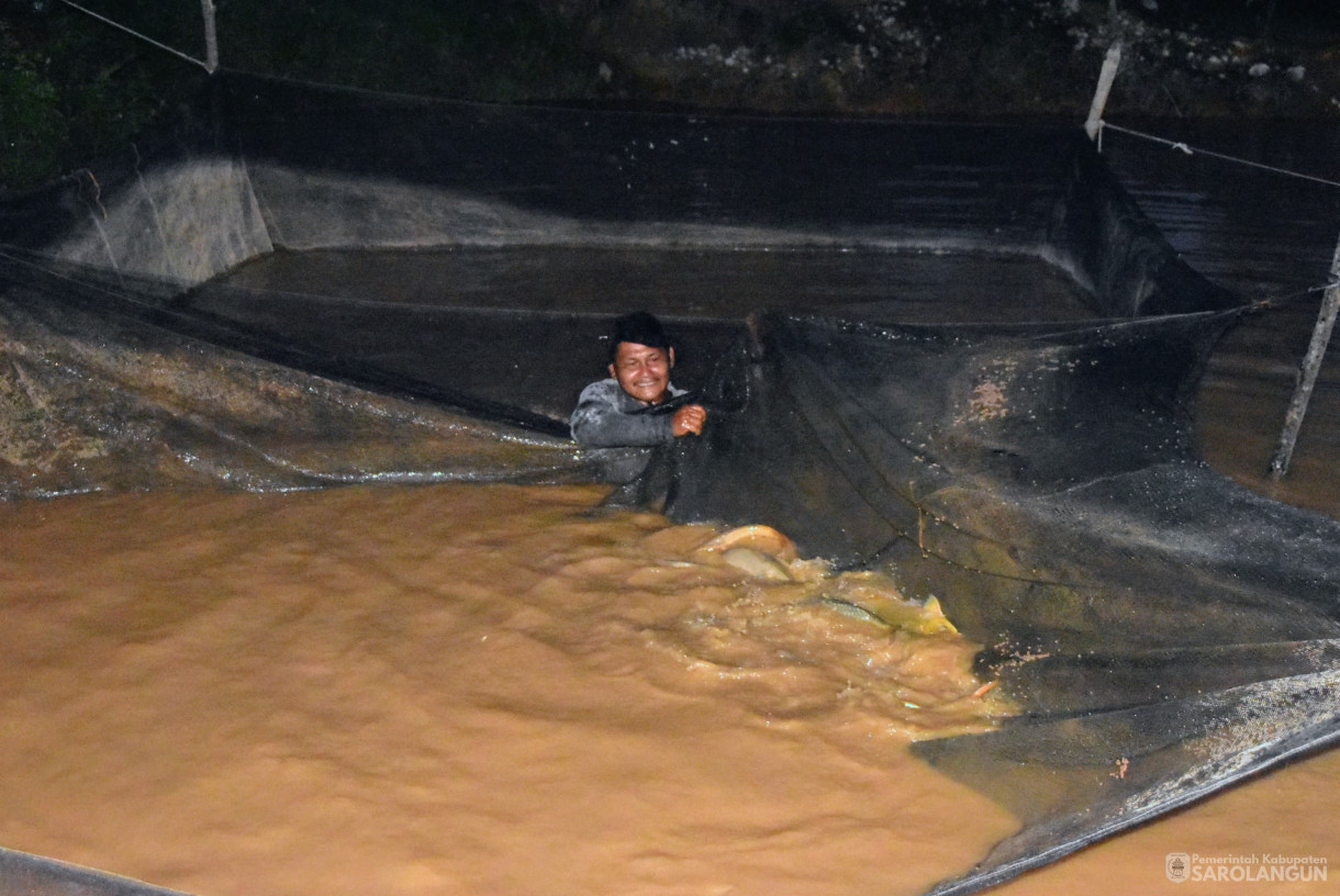 11 Oktober 2024 - Meninjau Kolam Ikan Bekas Peti, Bertempat di Desa Monti Kecamatan Limun