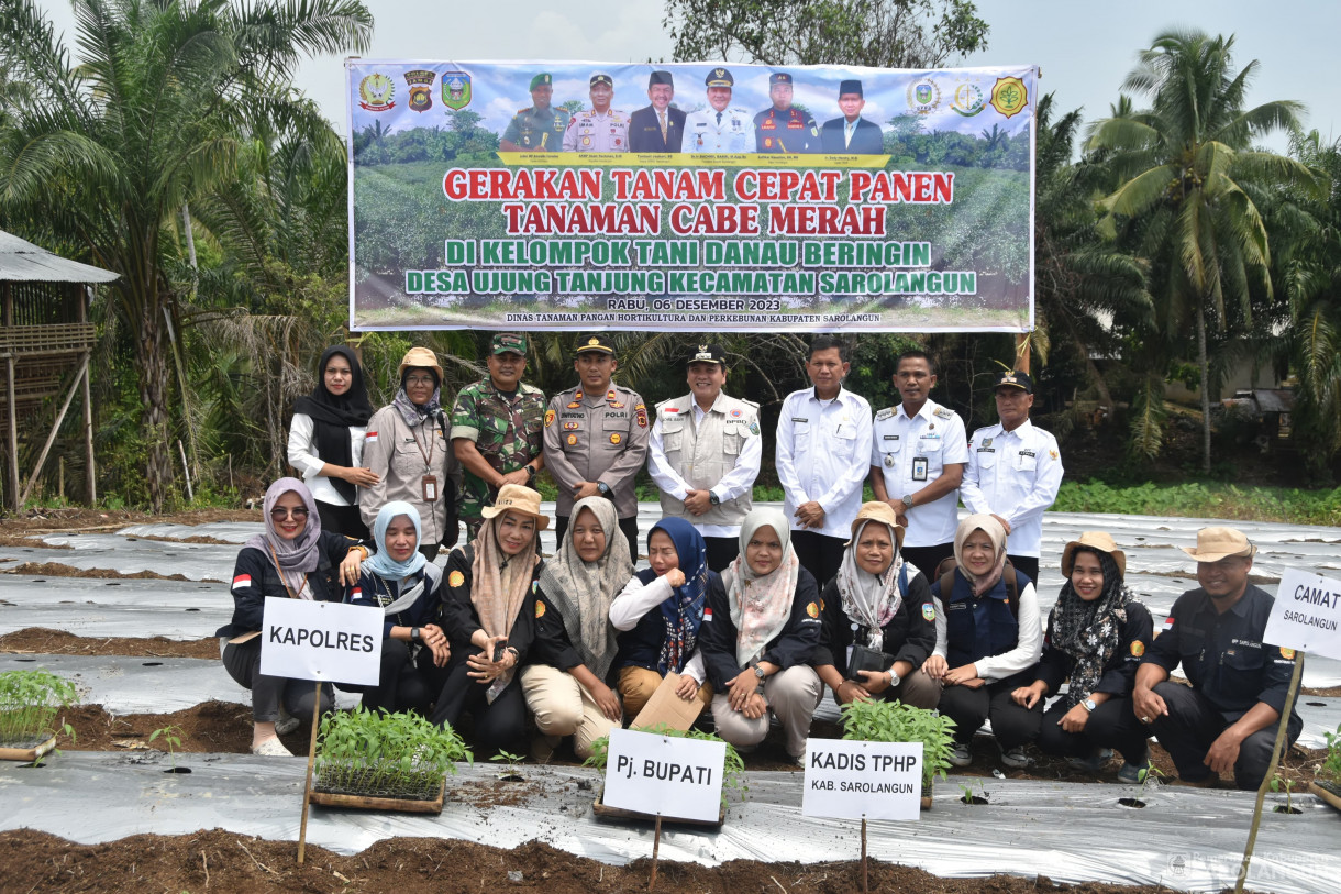 6 Desember 2023 - Gerakan Tanam Cepat Panen Tanaman Cabe Merah Di Kelompok Tani Danau Beringin Desa Ujung Tanjung Kecamatan Sarolangun