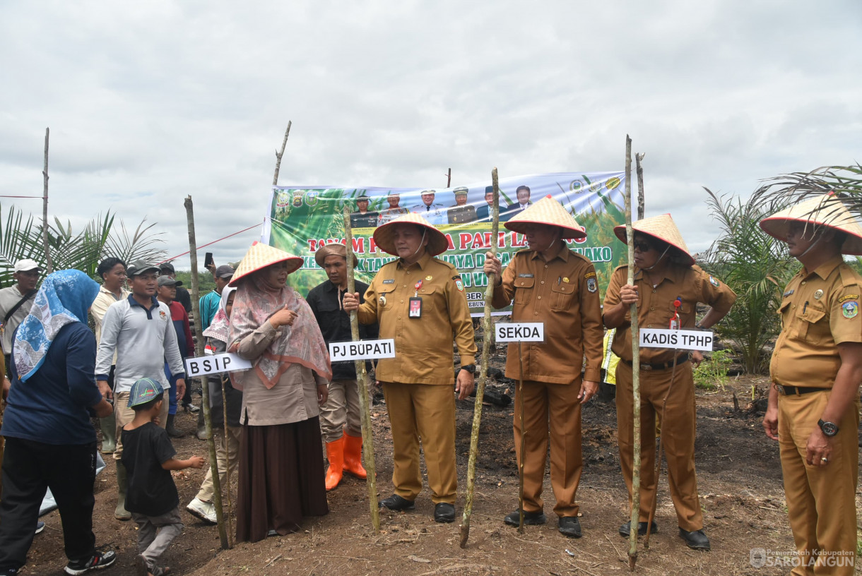 10 September 2024 - Tanam Perdana Padi Ladang Kelompok Tani Mitra Jaya, Bertempat di Desa Pulau Melako Kecamatan Bathin VIII