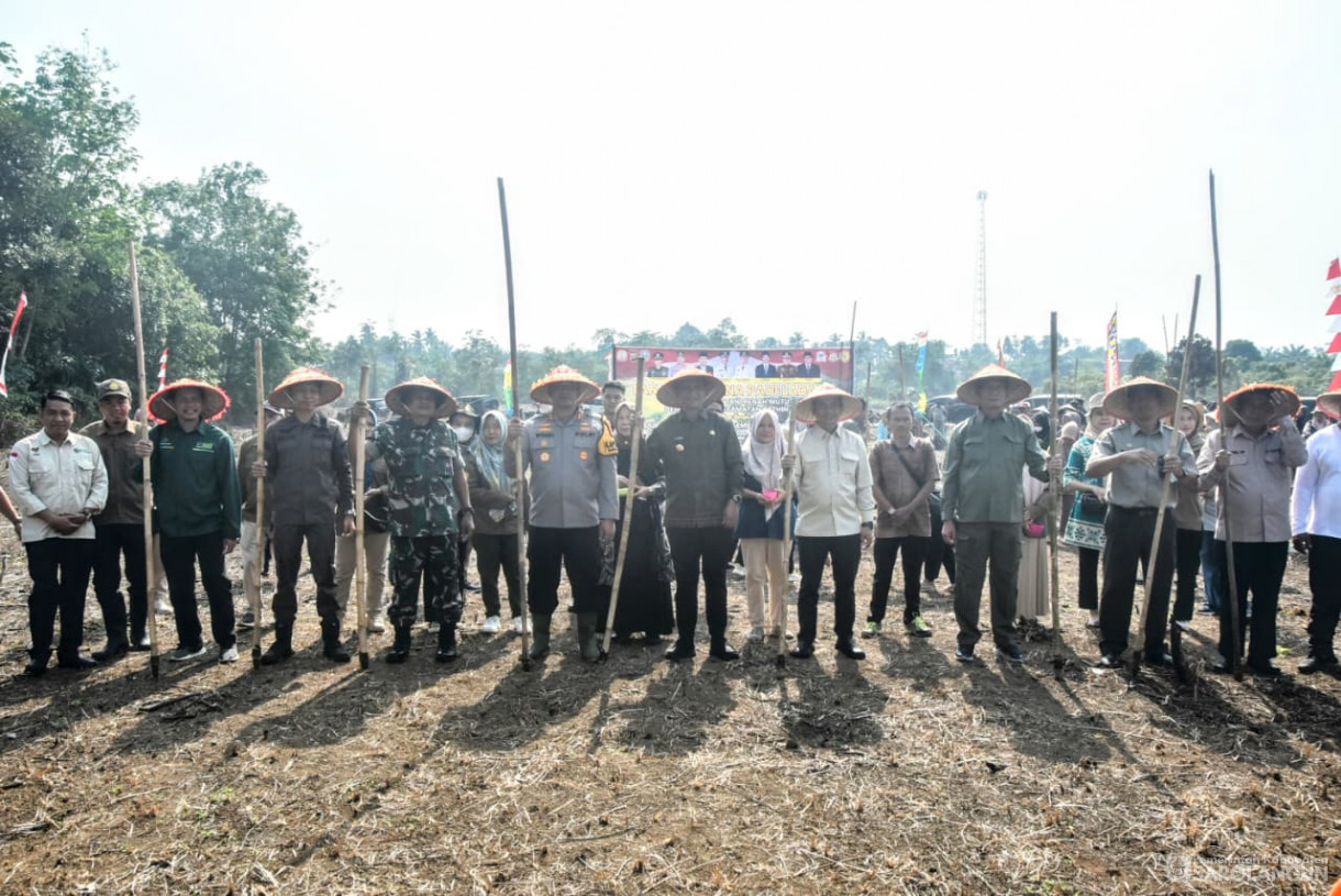 28 Agustus 2025&nbsp; &nbsp;Panen Perdana Padi Ladang Kelompok Tani Renah Mutu Desa Tanjung Kecamatan Bathin VIII