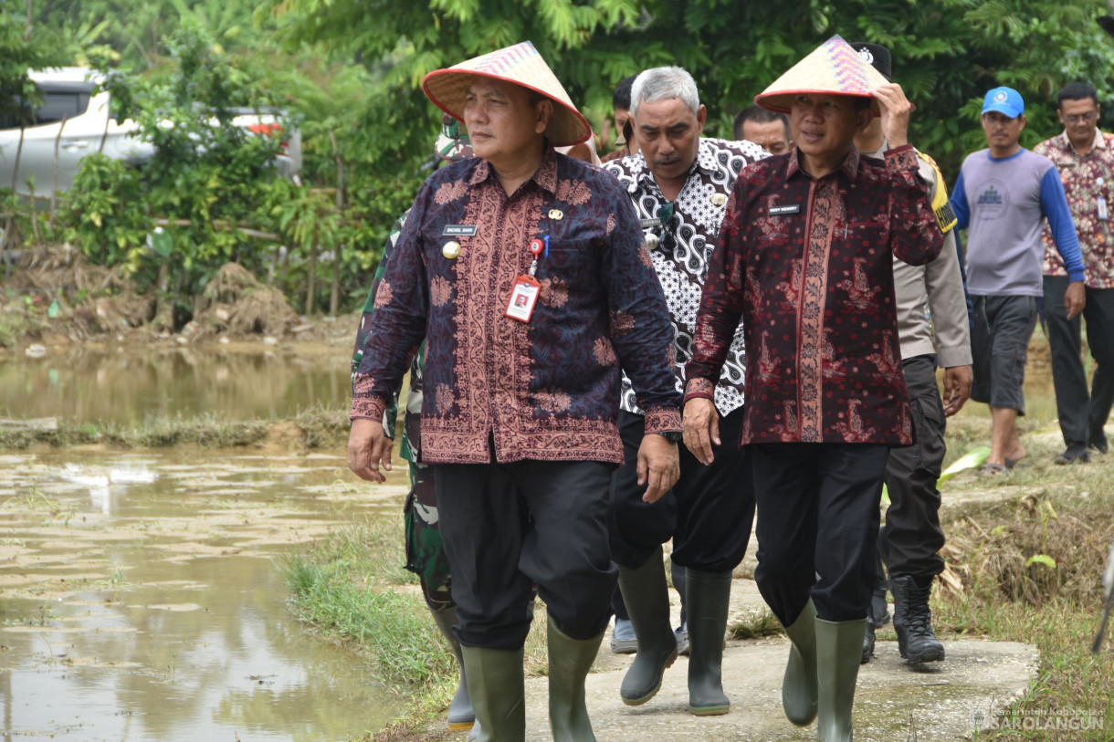 1 Februari 2024 - Tanam Bibit Unggul Padi Sawah Dari IPB Di Desa Pasar Pelawan