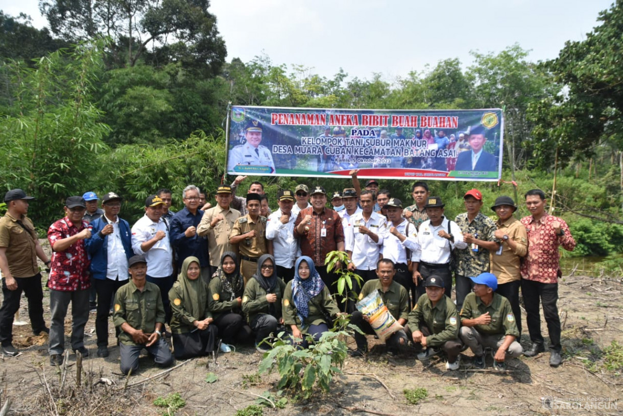 Penanaman Bibit Buah-Buahan di Desa Muaro Cuban Kecamatan Batang Asai