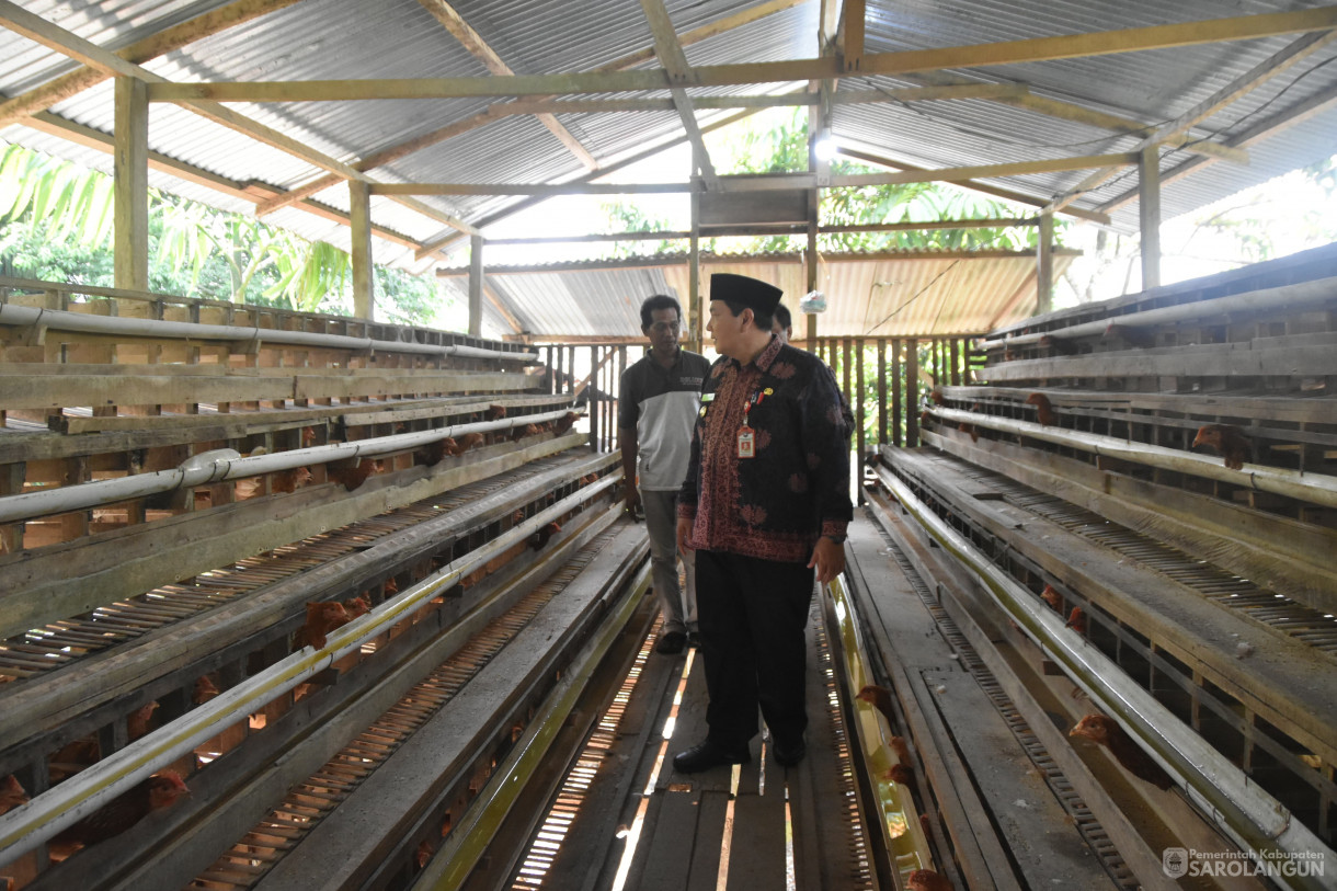 11 januari 2024 - Monitoring Ternak Ayam Dan Kambing Kelompok Tani Di Desa Batu Putih Kecamatan Pelawan