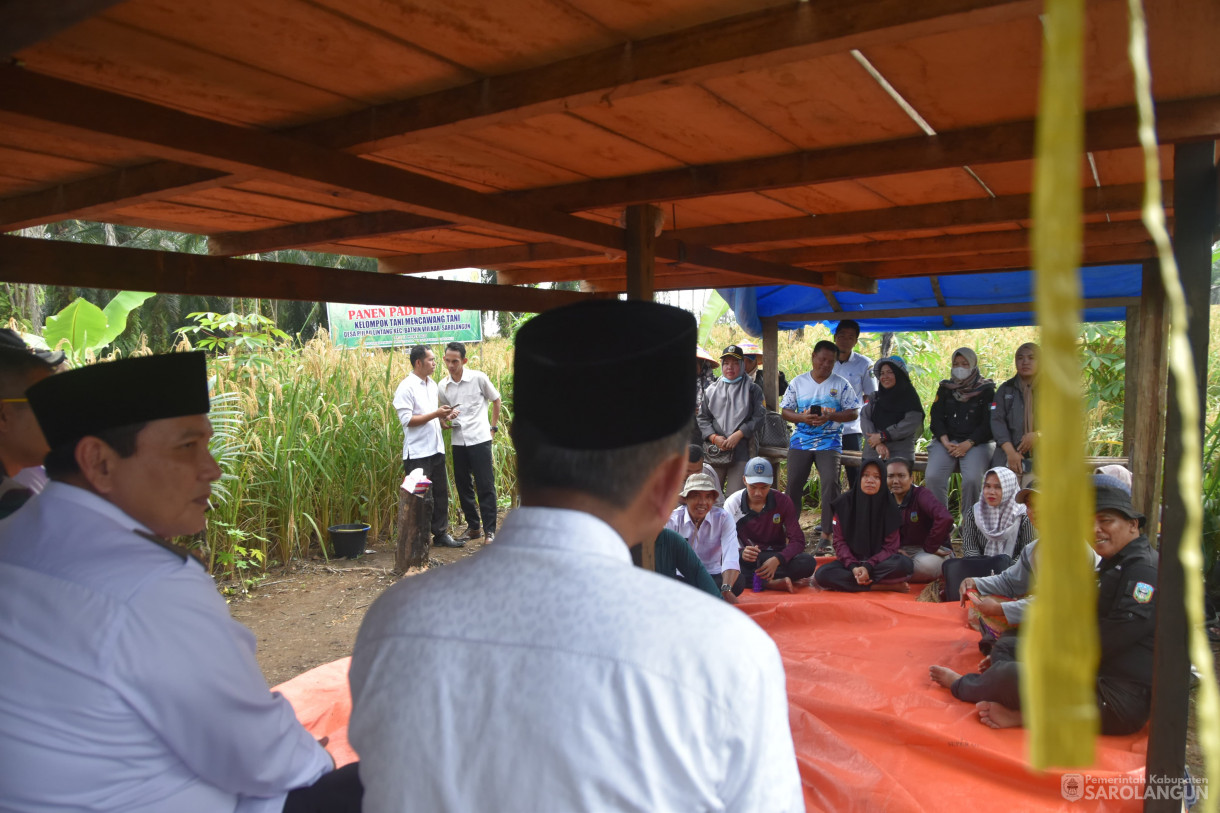 13 Maret 2024 - Panen Padi Ladang Kelompok Tani Mencawang Tani Desa Pulau Lintang Kecamatan Bathin VIII