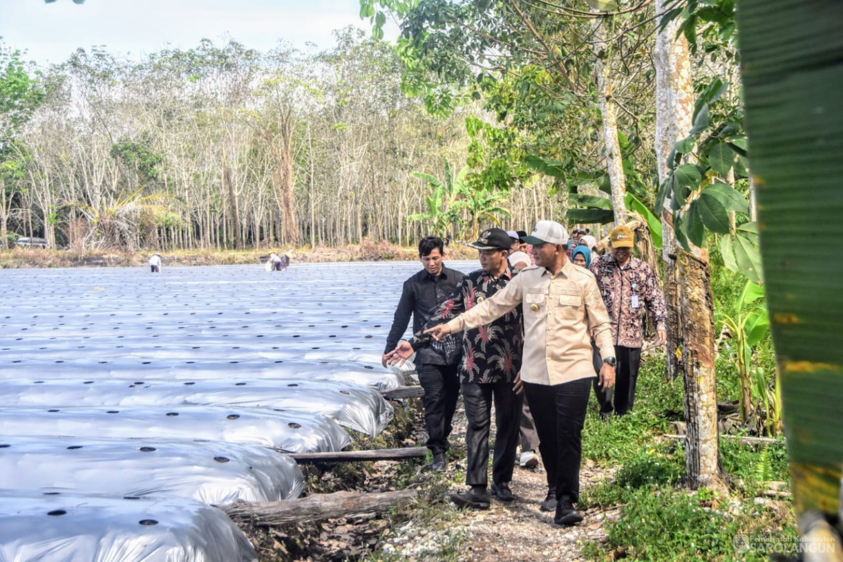 19 Juni 2025 -&nbsp;Tanam Cabe Merah Kelompok Tani Bina