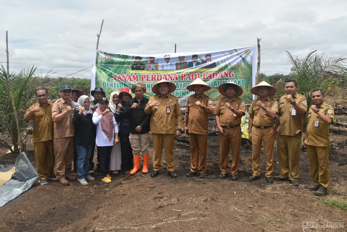 10 September 2024 - Tanam Perdana Padi Ladang Kelompok Tani Mitra Jaya, Bertempat di Desa Pulau Melako Kecamatan Bathin VIII