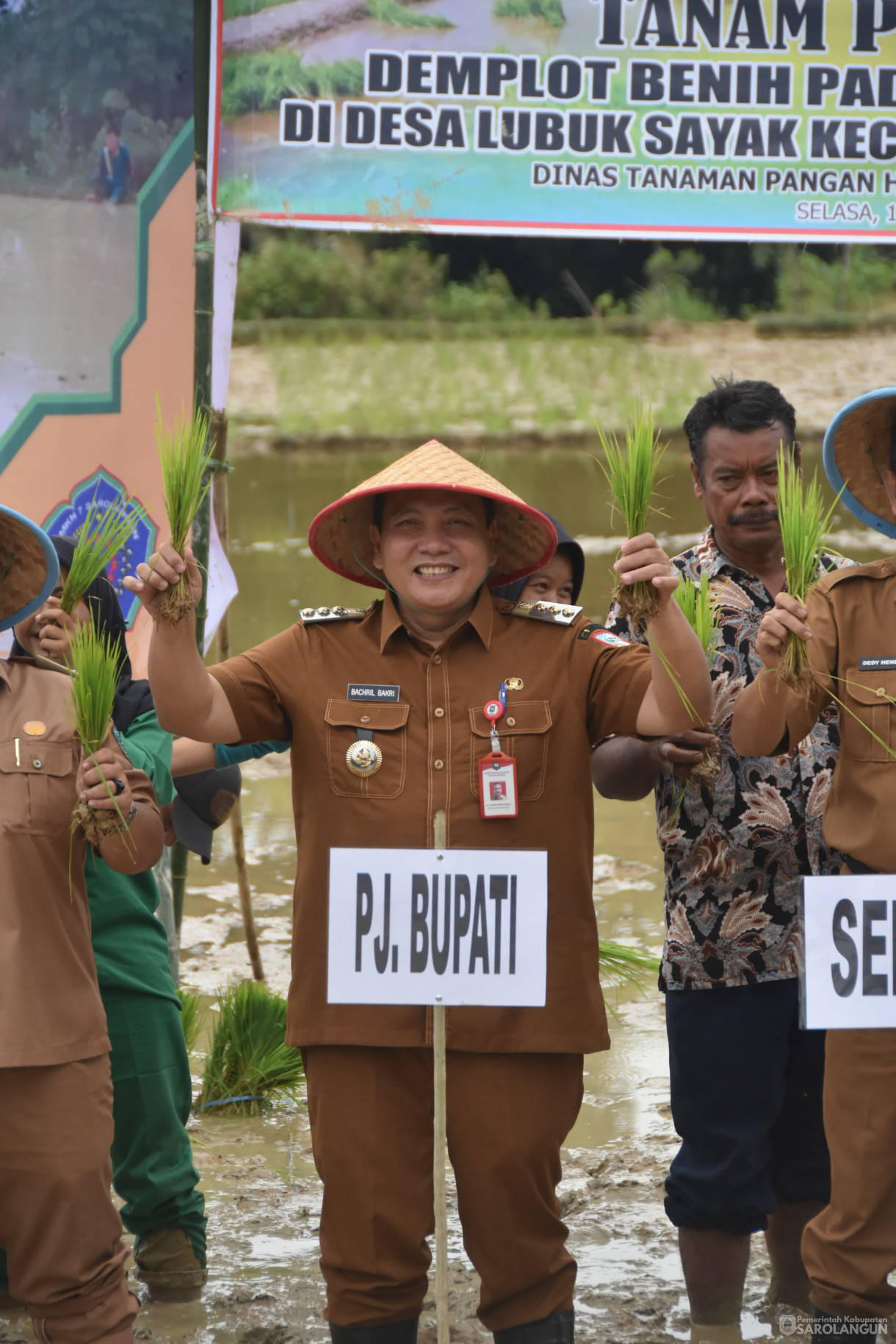 13 Februari 2024 - Tanam Padi Sawah Demplot Benih Padi Varitas IPB 3 Sakti Bersama Siswa Siswi Smkn 7 Sarolangun Di Desa Lubuk Sayak Kecamatan Pelawan