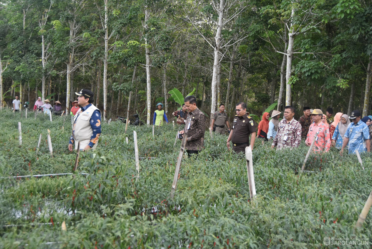 01 Agustus 2024 -&nbsp;Gerakan Tanam Cepat Panen Cabe Merah Kelompok Tani Bina Jaya, Bertempat di Desa Payolebar&nbsp; Kecamatan Singkut