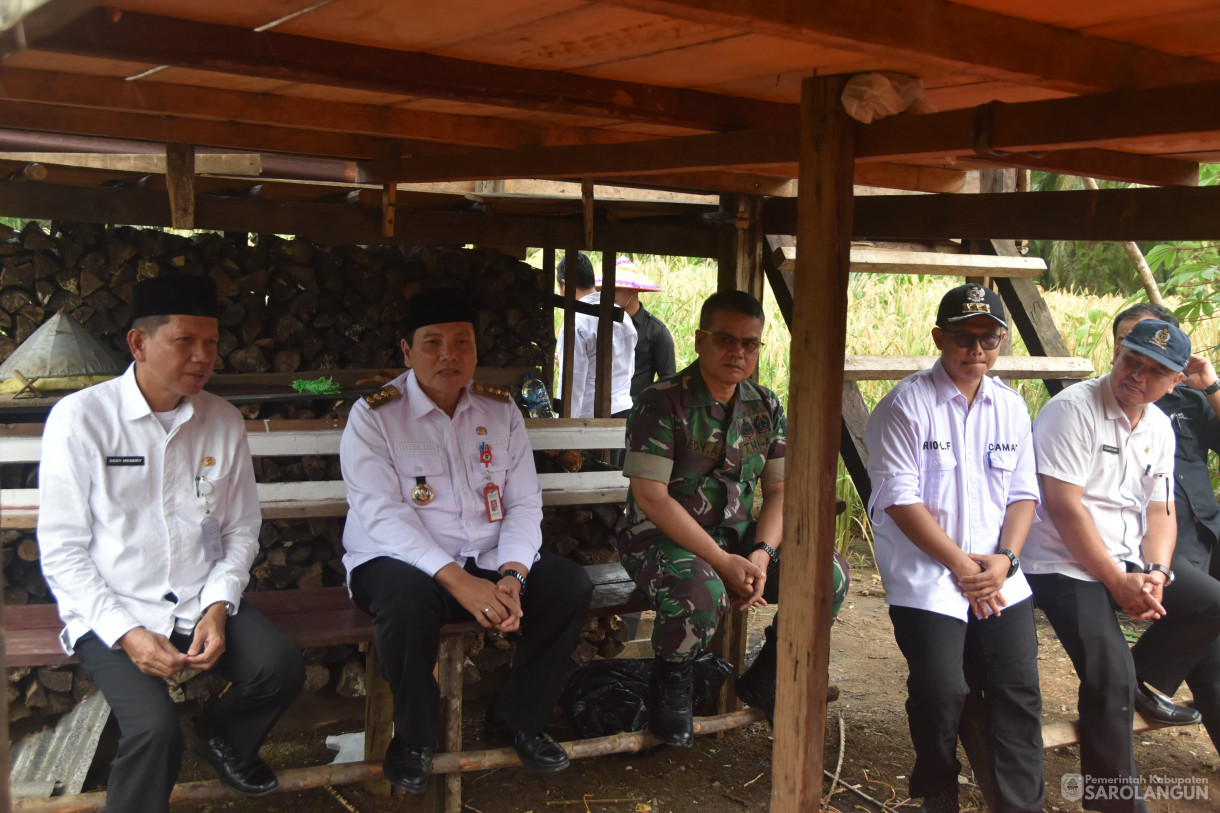 13 Maret 2024 - Panen Padi Ladang Kelompok Tani Mencawang Tani Desa Pulau Lintang Kecamatan Bathin VIII