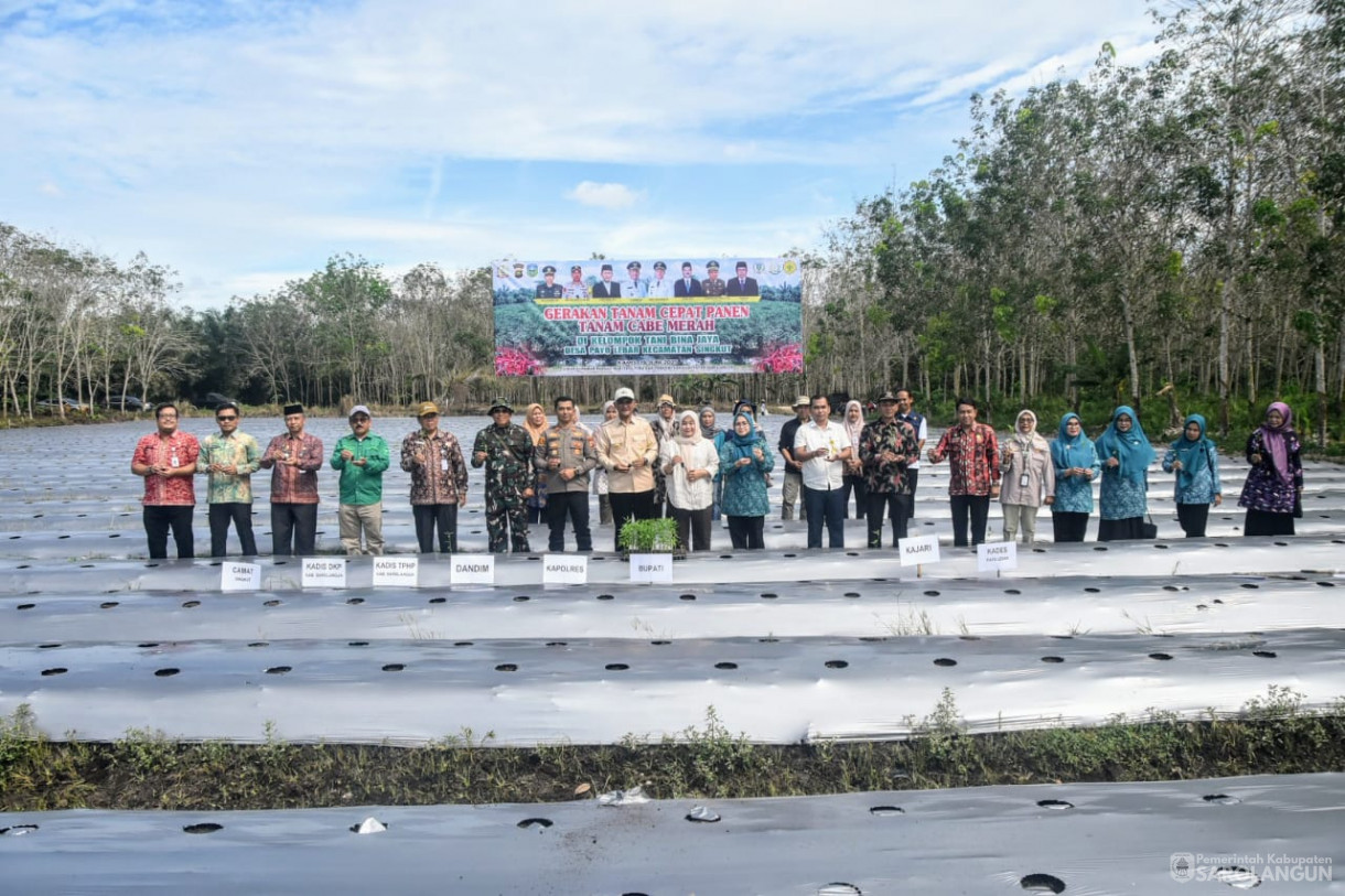 19 Juni 2025 -&nbsp;Tanam Cabe Merah Kelompok Tani Bina