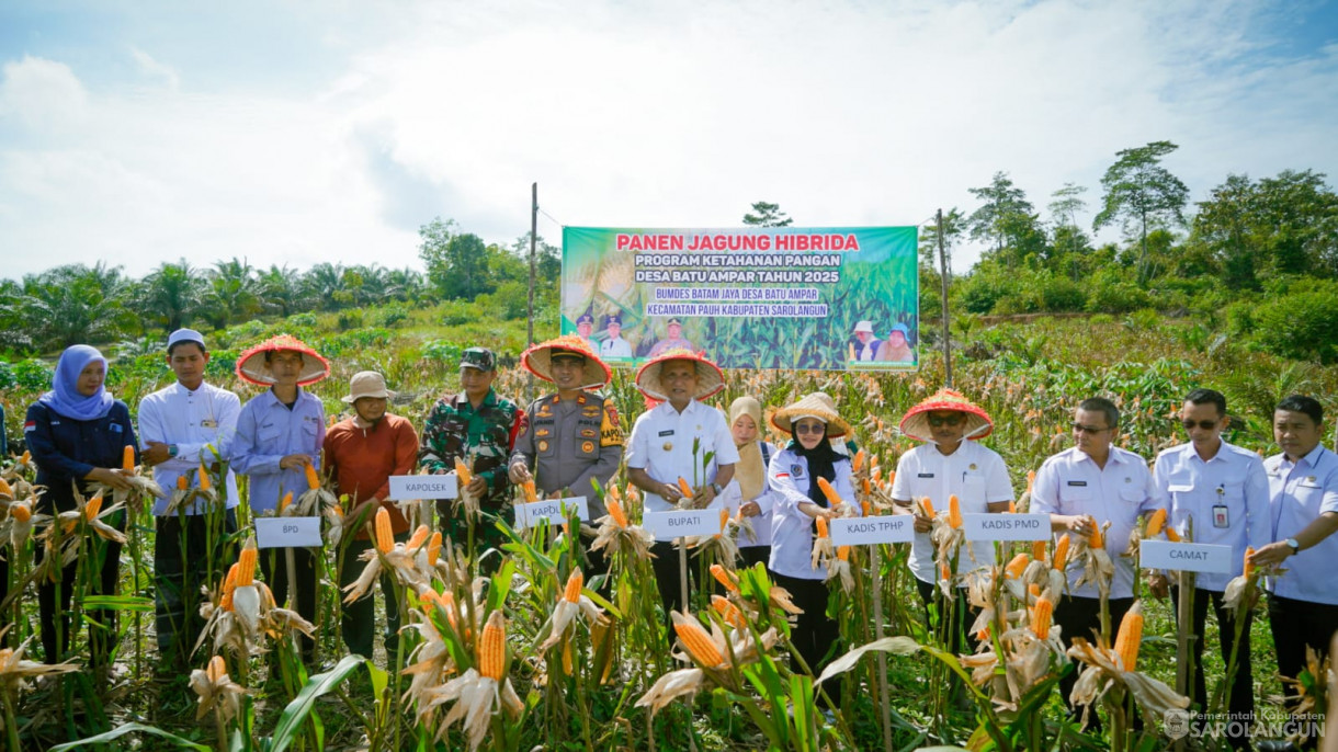 3 September 2025&nbsp; Panen Jagung Hibrida Program Ketahanan Pangan Bumdes Batam Jaya Desa Batu Ampar Tahun 2025