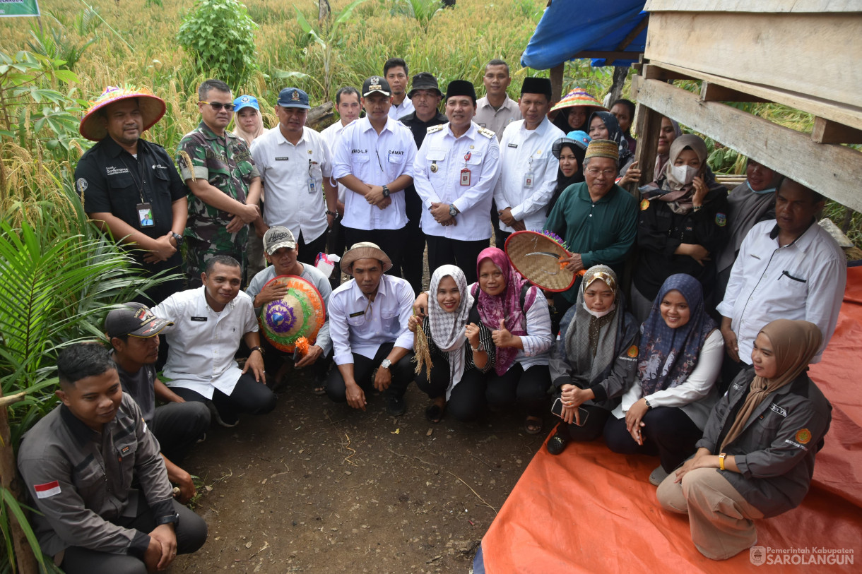 13 Maret 2024 - Panen Padi Ladang Kelompok Tani Mencawang Tani Desa Pulau Lintang Kecamatan Bathin VIII