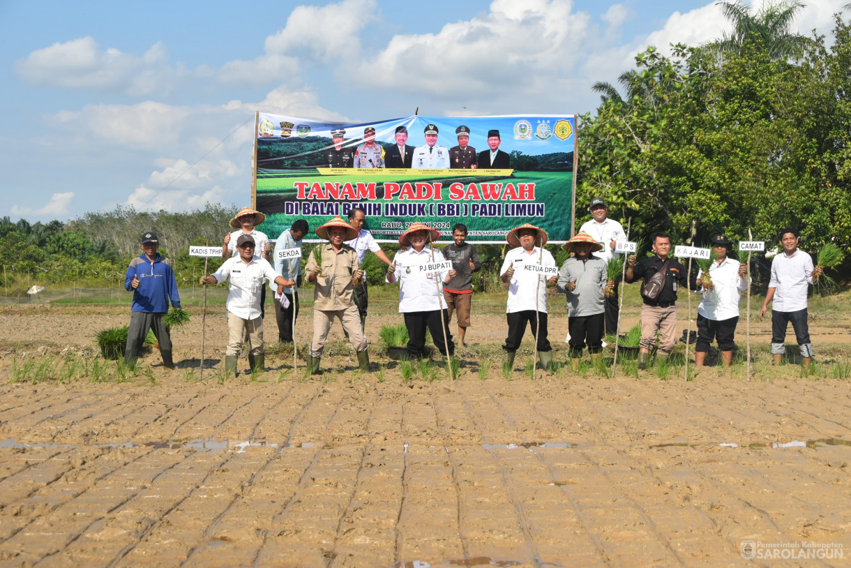 26 Juni 2024 - Tanam Padi Sawah, Bertempat di Balai Benih Induk Padi Kecamatan Limun