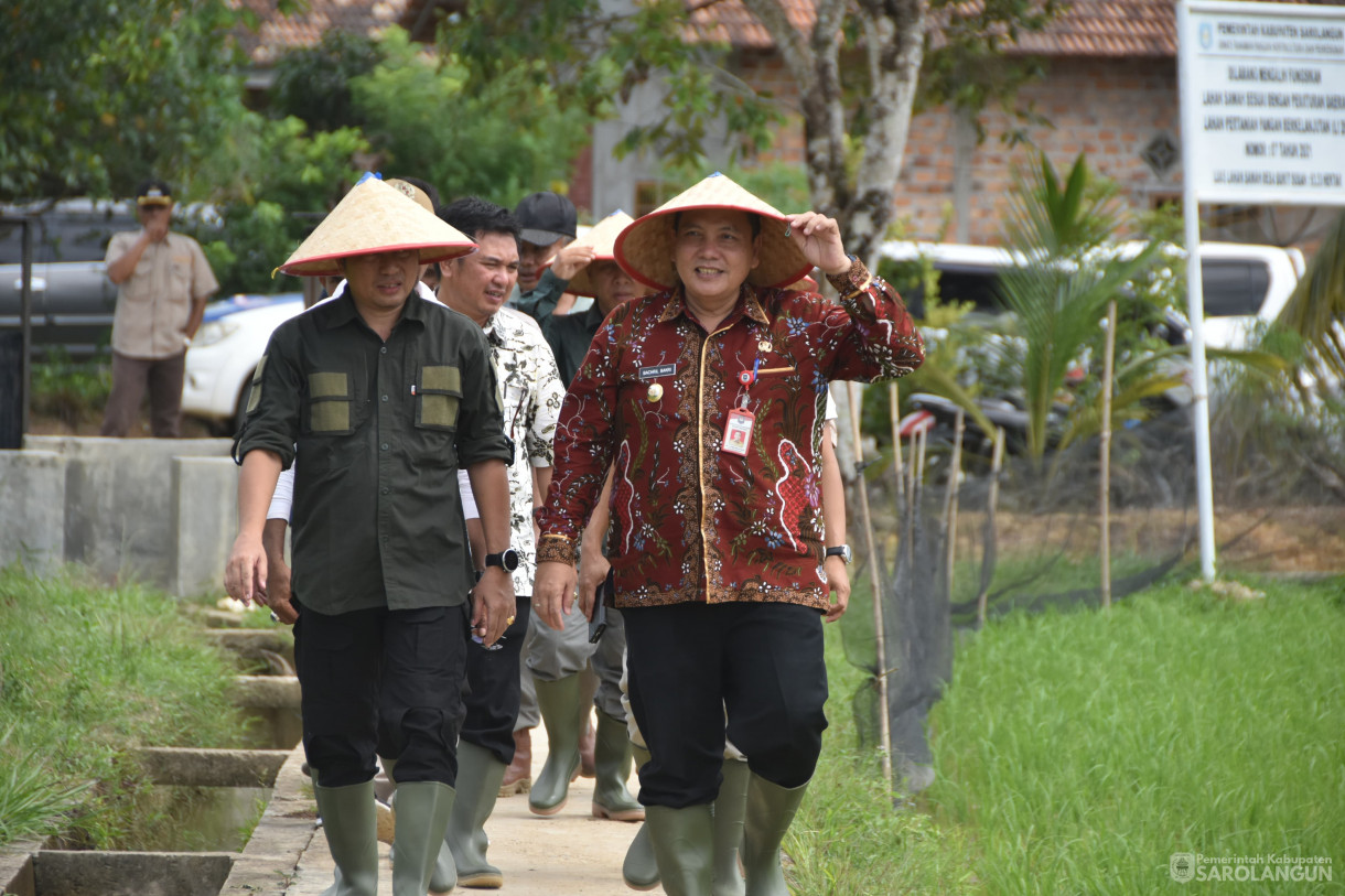 4 Februari 2024 - Tanam Padi Sawah Di Desa Bukit Suban Kecamatan Air Hitam