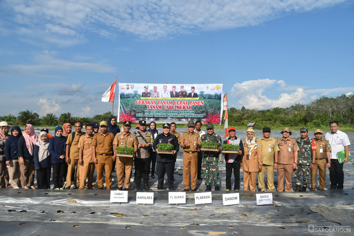 27 Mei 2024 - Gerakan Tanam Cepat Panen Tanam Cabe Merah Kelompok Tani Danau Beringin Desa Ujung Tanjung Kecamatan Sarolangun