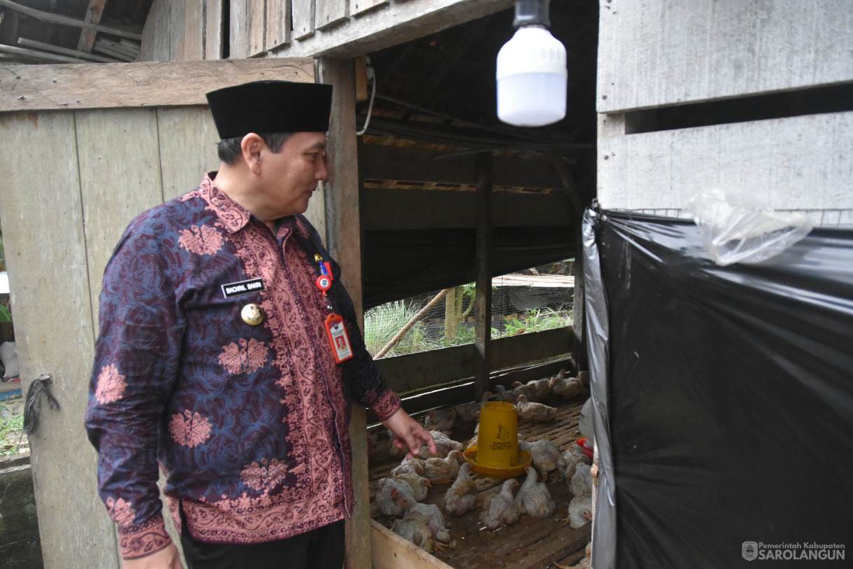 11 Januari 2024 - Monitoring Ternak Ayam Di Desa Argosari Kecamatan Singkut