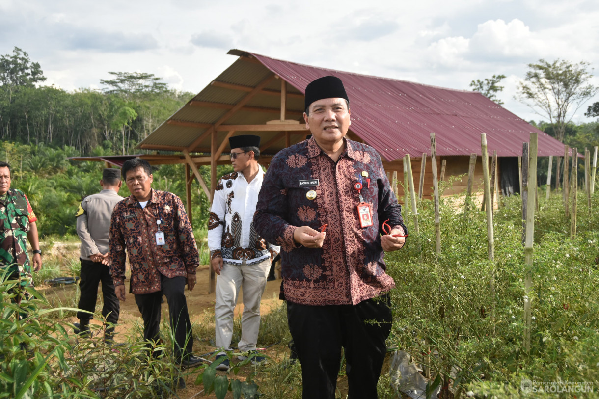 11 Januari 2024 - Meninjau Kebun Cabe Di Desa Pasar Singkut Kecamatan Singkut