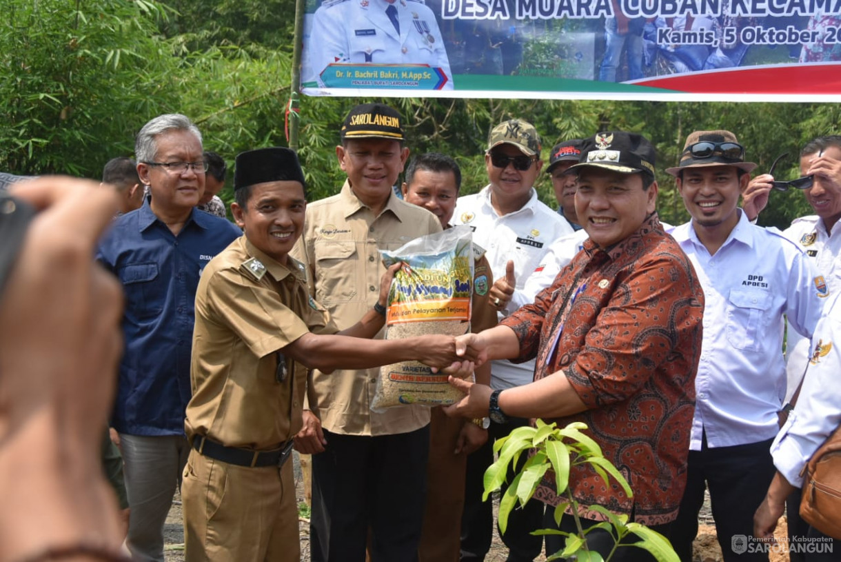 Penanaman Bibit Buah-Buahan di Desa Muaro Cuban Kecamatan Batang Asai